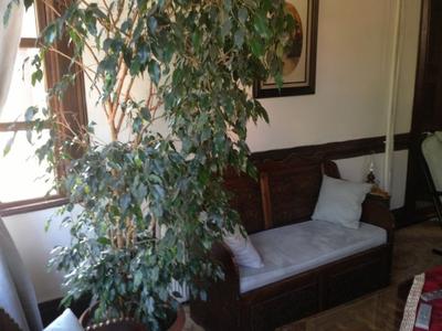 Sinan Bey Konagi Otel And Restaurant