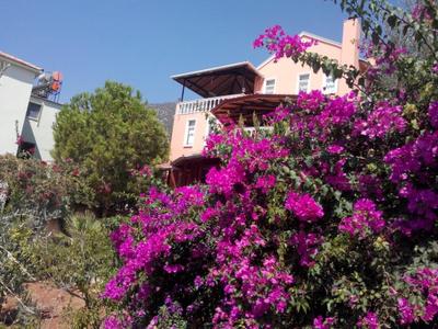 Villa Koknar Pension