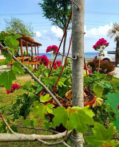 Huzur Motel