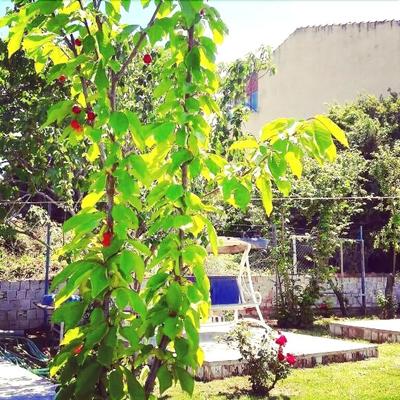 Berfin Pansiyon