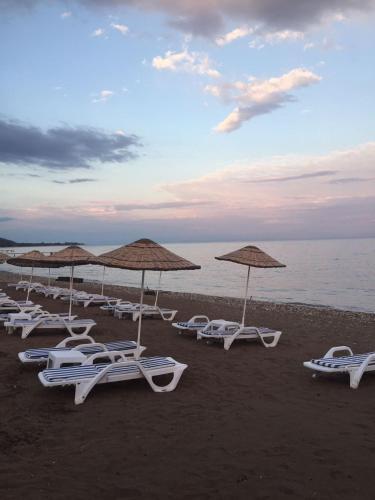 Mavizeytin Beach Club