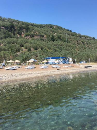 Mavizeytin Beach Club