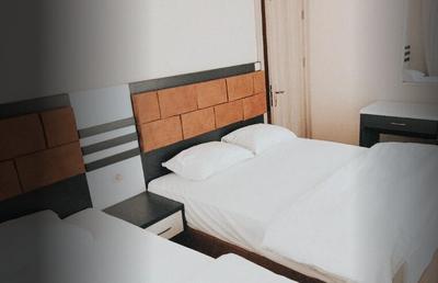Altin Otel Sarikamis