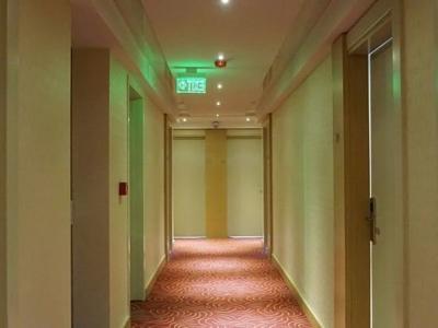 Zeus Suite