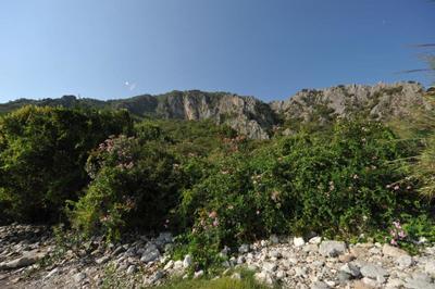 Olympos Yigit Pansiyon