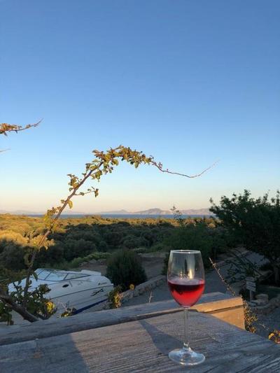 Datca Vineyard