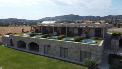 Datca Vineyard