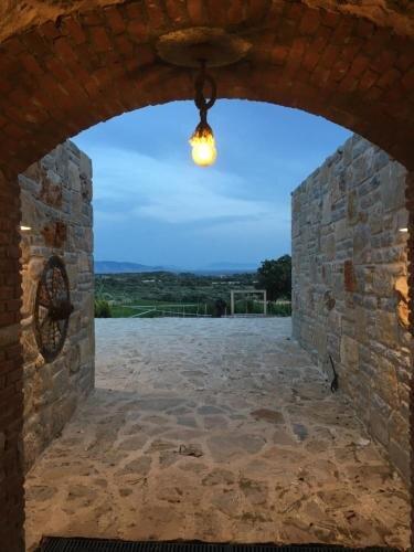 Datca Vineyard