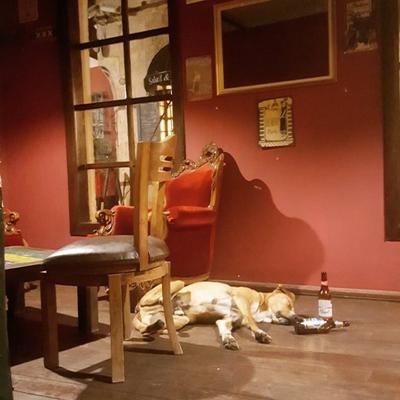 Old House Hostel & Pub