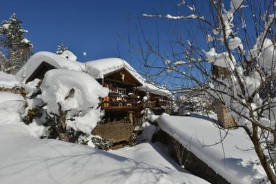 Abant Yesil Ev