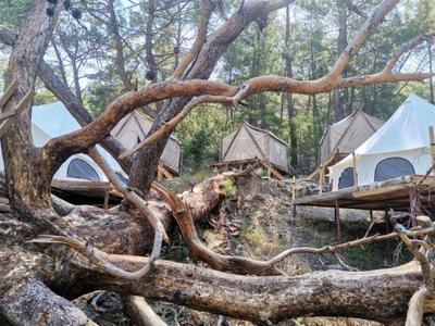 Yalin Ayak Olimpos