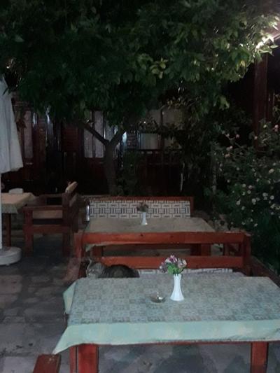 Side Rose Motel