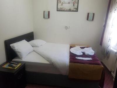 Hotel Aras
