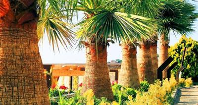 Synosse Park Hotel Cesme