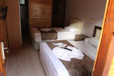 Uzungol Holiday Hotel 2