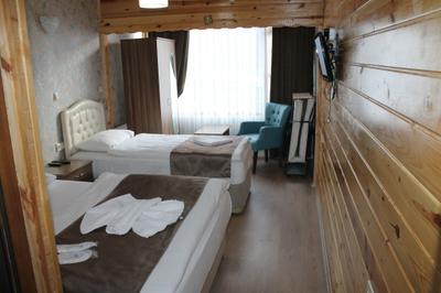 Uzungol Holiday Hotel 2