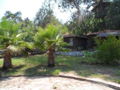 Olympos Park Butik Hotel