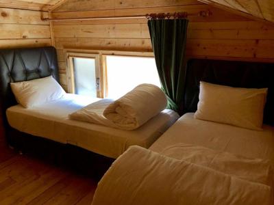Elevit Tatil Koyu
