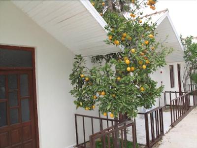 River Park Hotel Bungalows