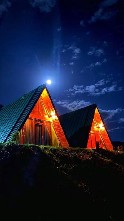 Bear Bungalov