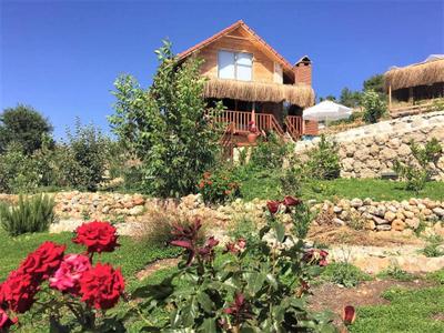Villa Ceviz