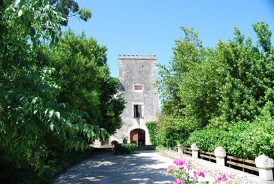 Finca Son Vivot 