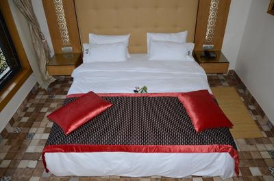 Hotel Villa Aralia