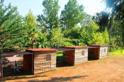 Medusa Cafe-Bar-Camping