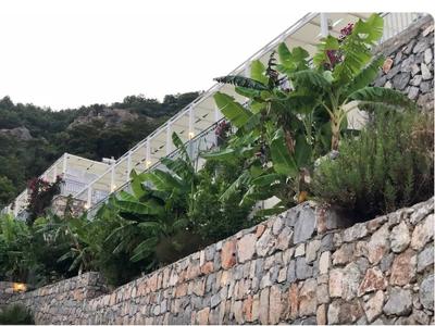 Begonville Apartment Villa