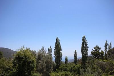 Villa Heves