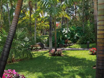 Hacienda San Jorge