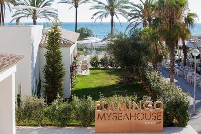 Myseahouse Flamingo