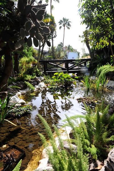 Parque Tropical