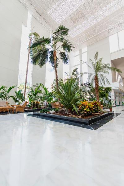 Spring Hotel Vulcano