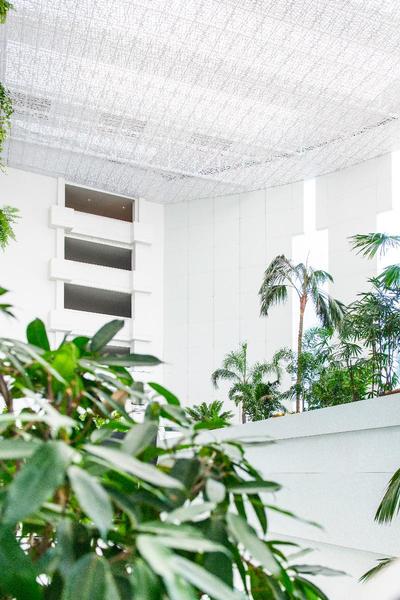 Spring Hotel Vulcano