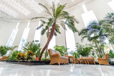Spring Hotel Vulcano