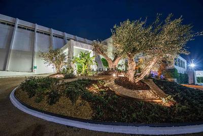 MarSenses Rosa del Mar Hotel & Spa