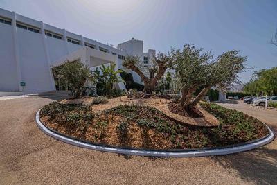 MarSenses Rosa del Mar Hotel & Spa