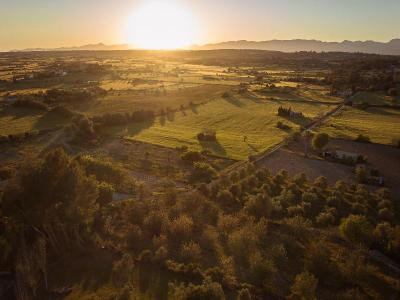 Es Figueral Nou Hotel Rural & Spa - Adults Only