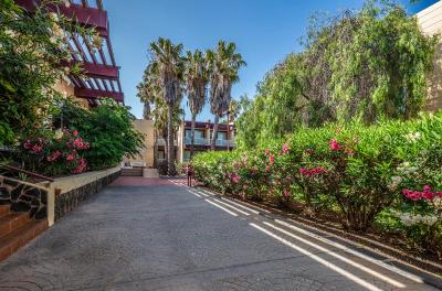 Hotel Palia Don Pedro