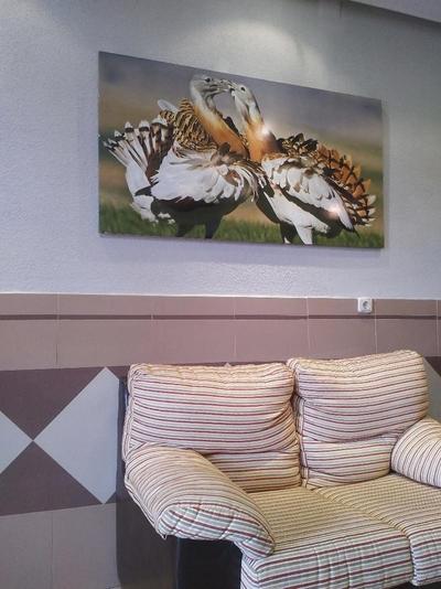 Perú by Bossh Hotels