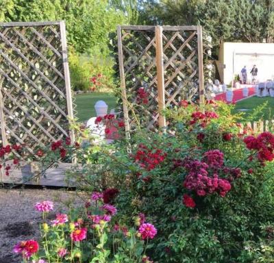 Rey Sancho