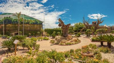Magic Robin Hood Resort