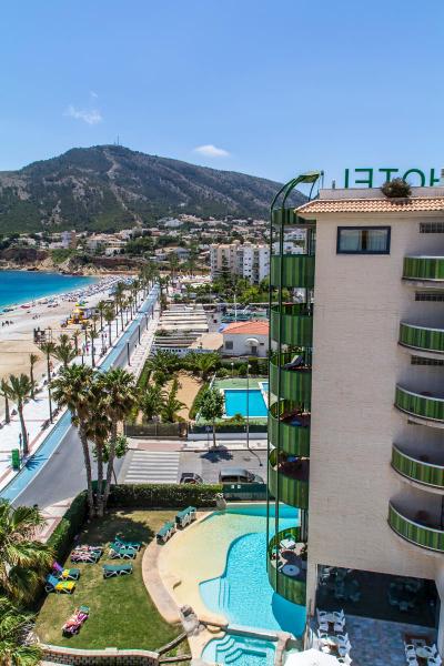Kaktus Albir