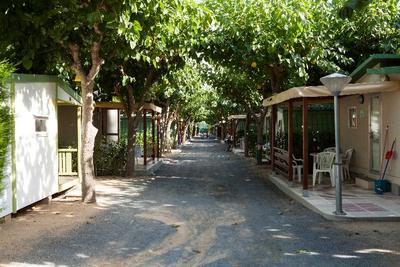 Camping Platja Cambrils
