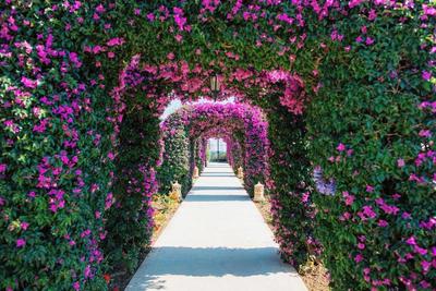 The St. Regis Mardavall Resort