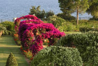 The St. Regis Mardavall Resort