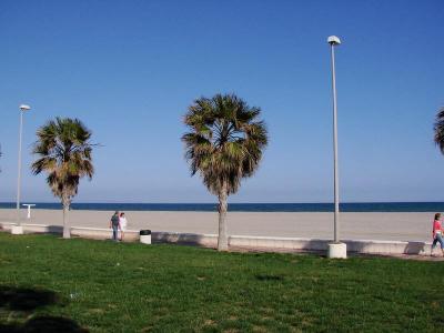Estrella de Mar
