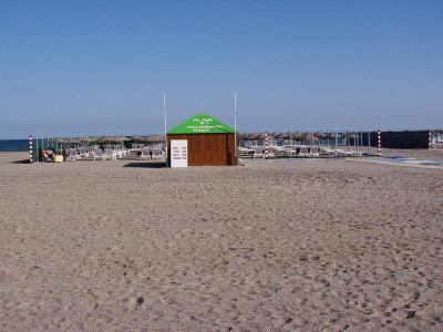 Estrella de Mar