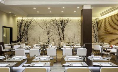 Ilunion Suites Madrid
